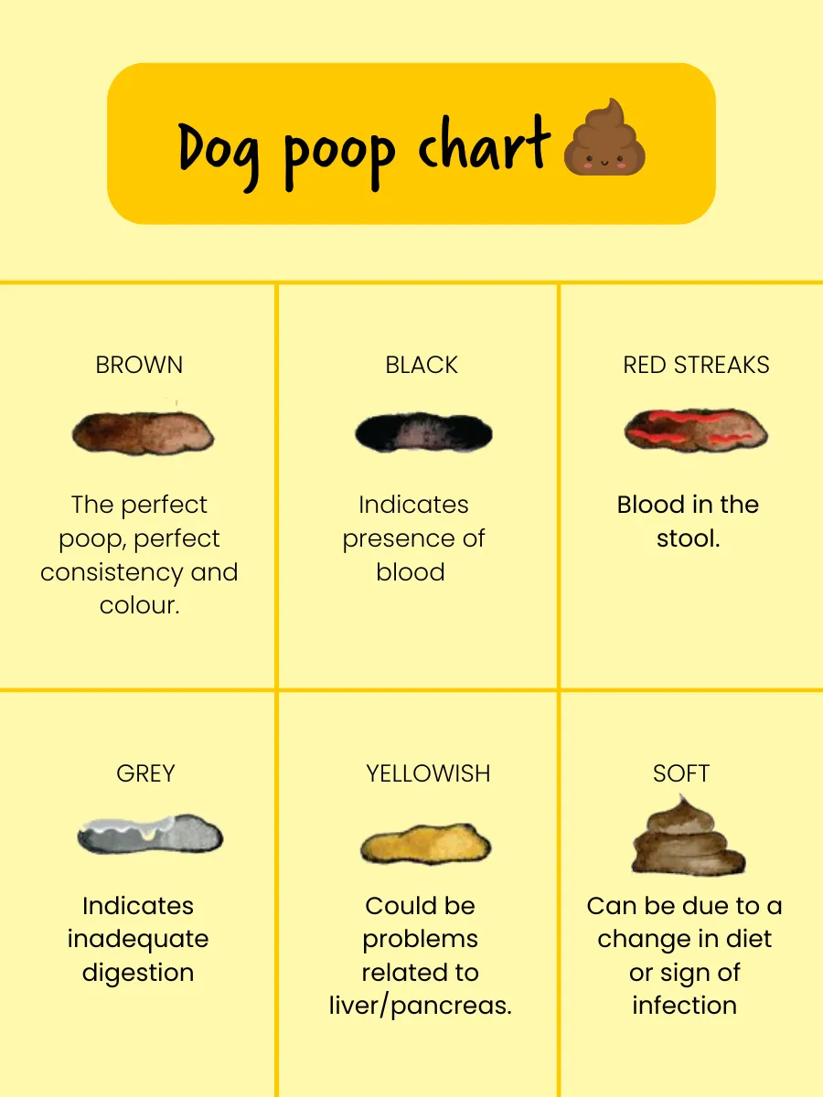 Dog poop colour chart with six stool samples labelled brown, black, red streaks, grey, yellowish and soft