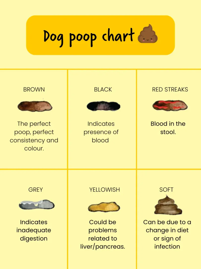 Dog poop colour chart with six stool samples labelled brown, black, red streaks, grey, yellowish and soft