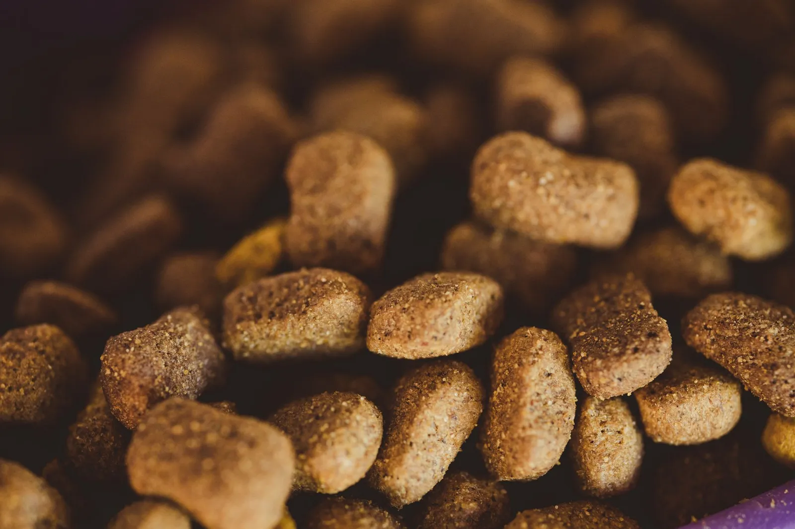 Bag of dry dog food beside a metal feeding bowl
