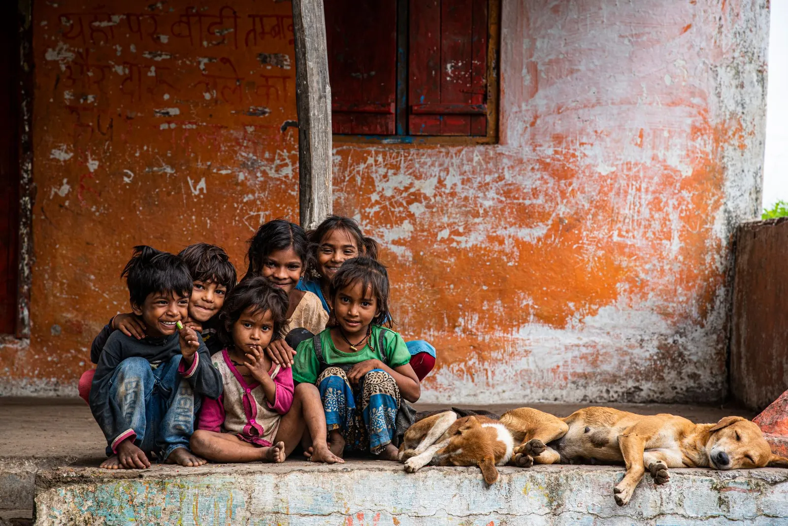Children sitting with dogs outdoors in soft light