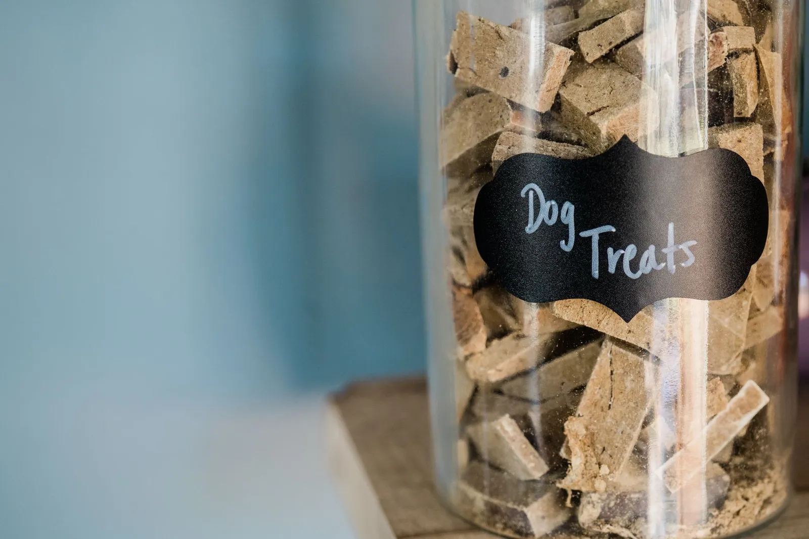 Airtight container holding dry dog kibble in a pantry