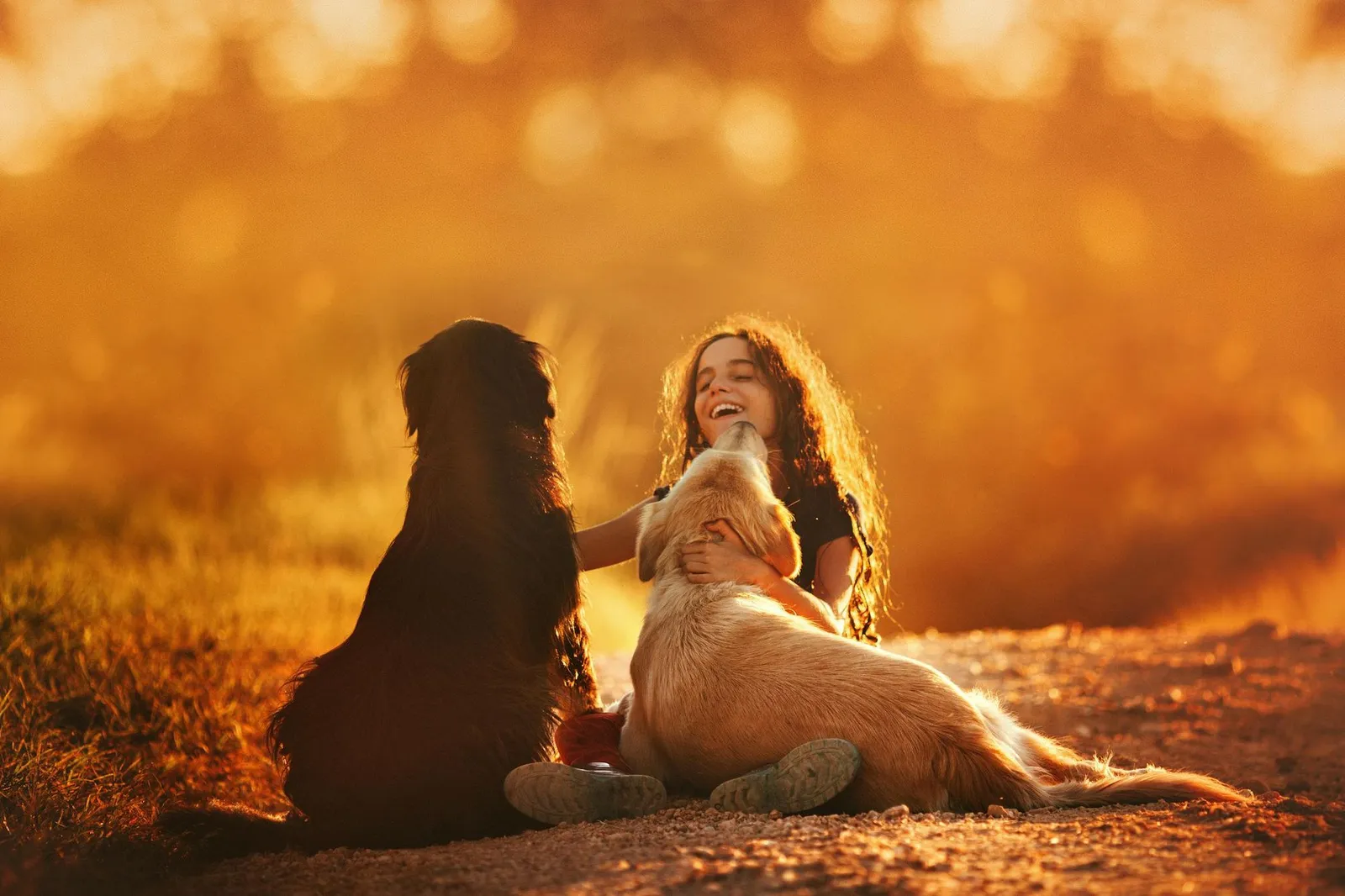 Child sitting with two dogs on a dirt path at golden hour