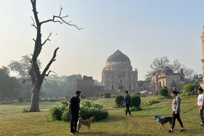 Lodhi Garden Guide for Dog Parents in Delhi NCR