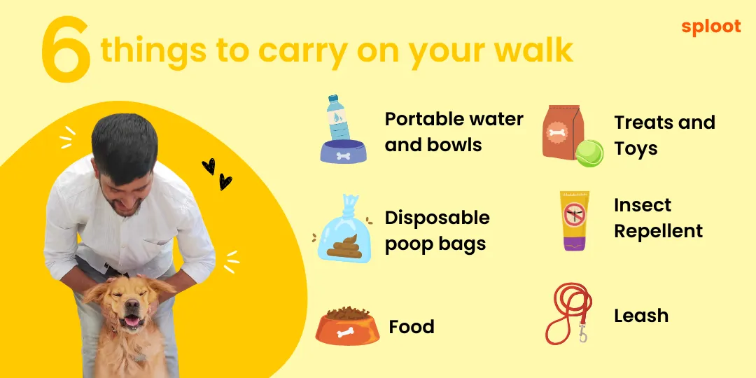 Infographic listing six things to carry on a dog walk: water, treats, poop bags, leash