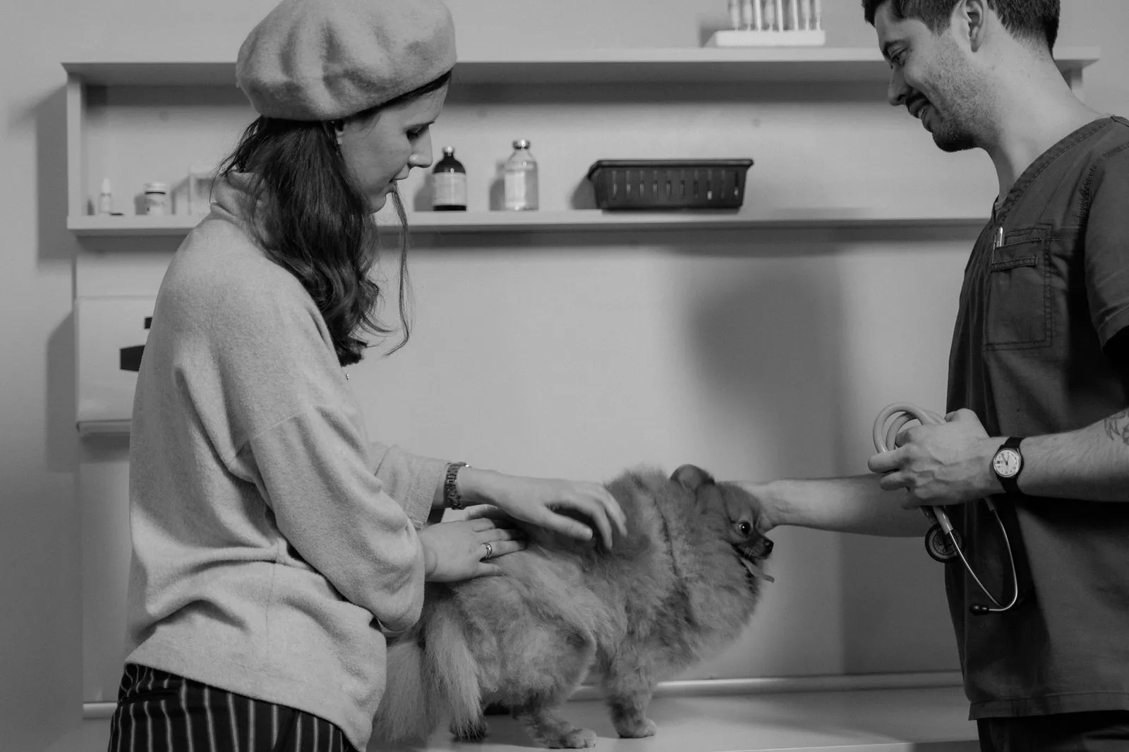Veterinarian examining a dog during a calm home visit