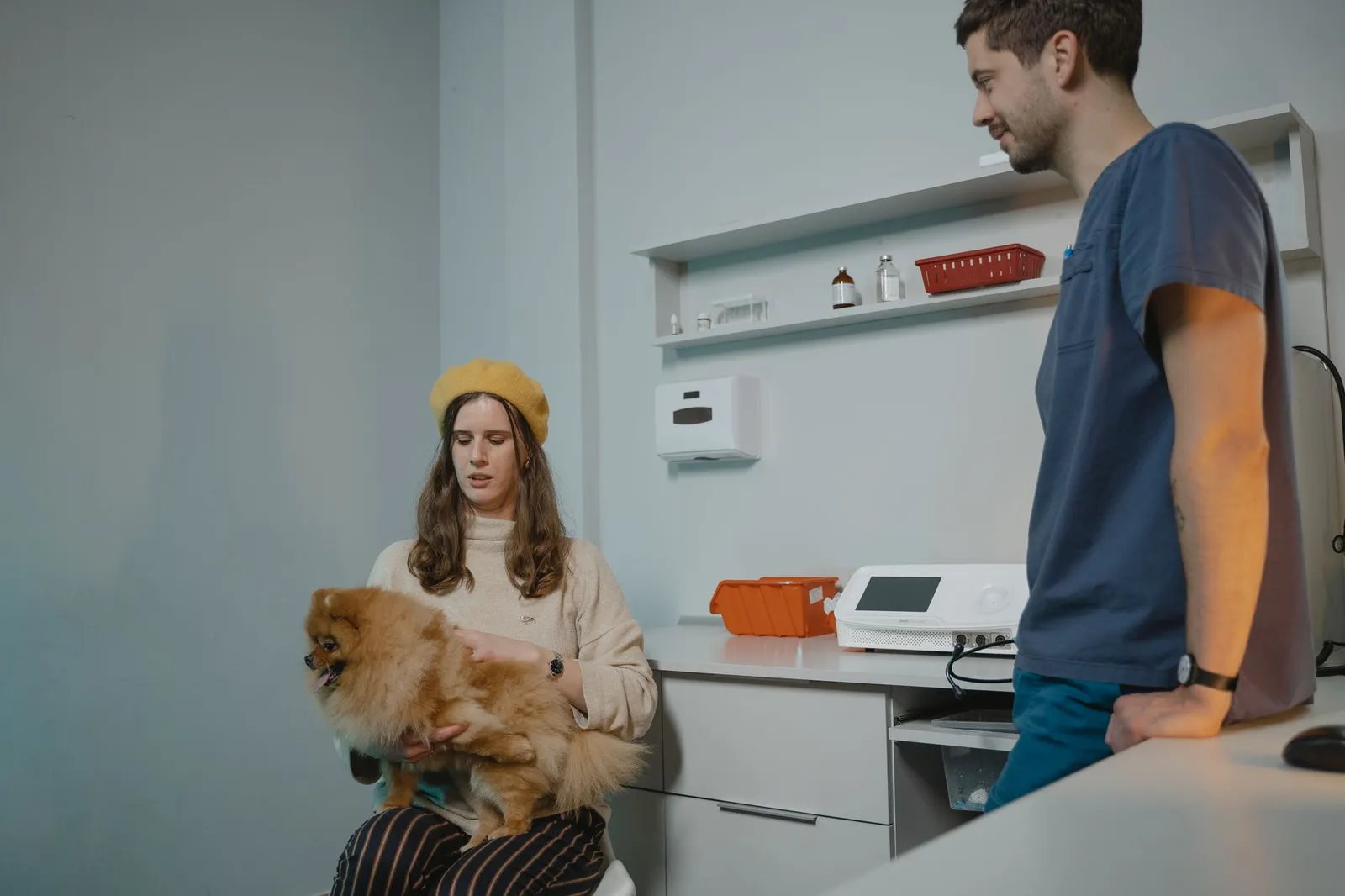Dog waiting calmly in a veterinary clinic