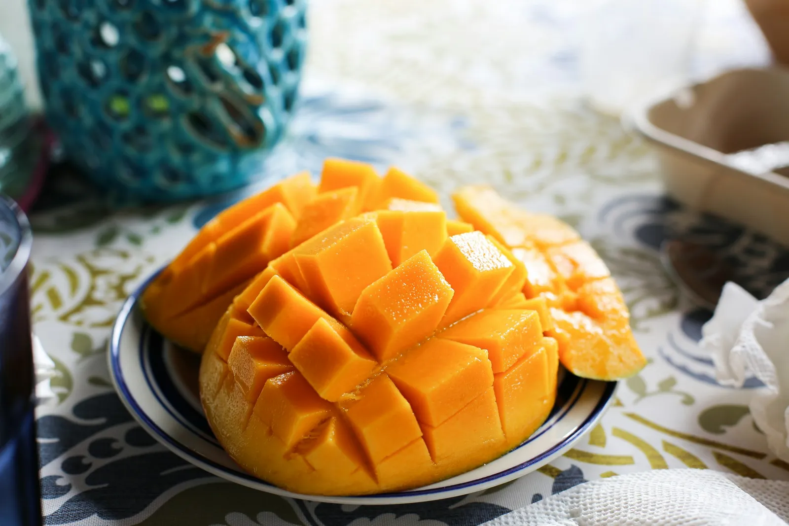 Recipes for dogs: Mango Rice Delight