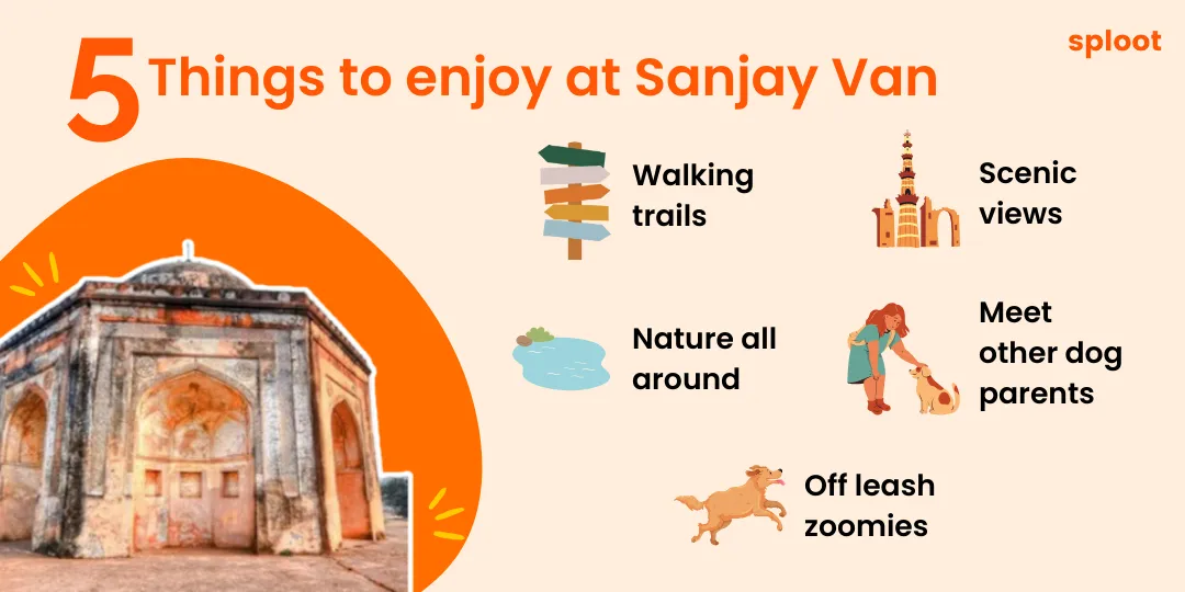 Infographic listing 5 things to enjoy at Sanjay Van: trails, views, nature, zoomies