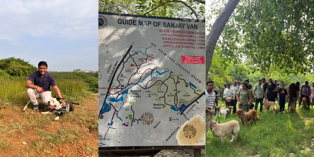 Triptych of a man with his dog on grass, the Sanjay Van guide map, and a group walk under trees
