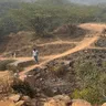 Running Wild at Sanjay Van: A Must-Visit for Delhi’s Dog Parents