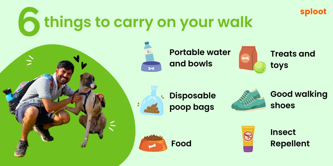 Infographic of 6 things to carry on a dog walk: water, treats, poop bags, shoes, food