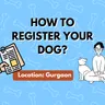 Dog Registration Gurgaon: Process, Fees, &  Benefits Explained