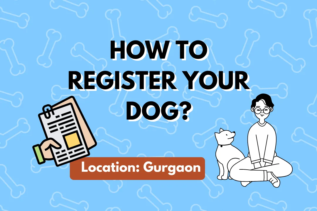Dog Registration Gurgaon: Process, Fees, & Benefits Explained