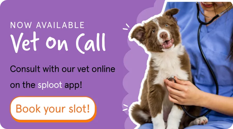 Vet On Call banner: a puppy getting a stethoscope checkup during an online vet consultation
