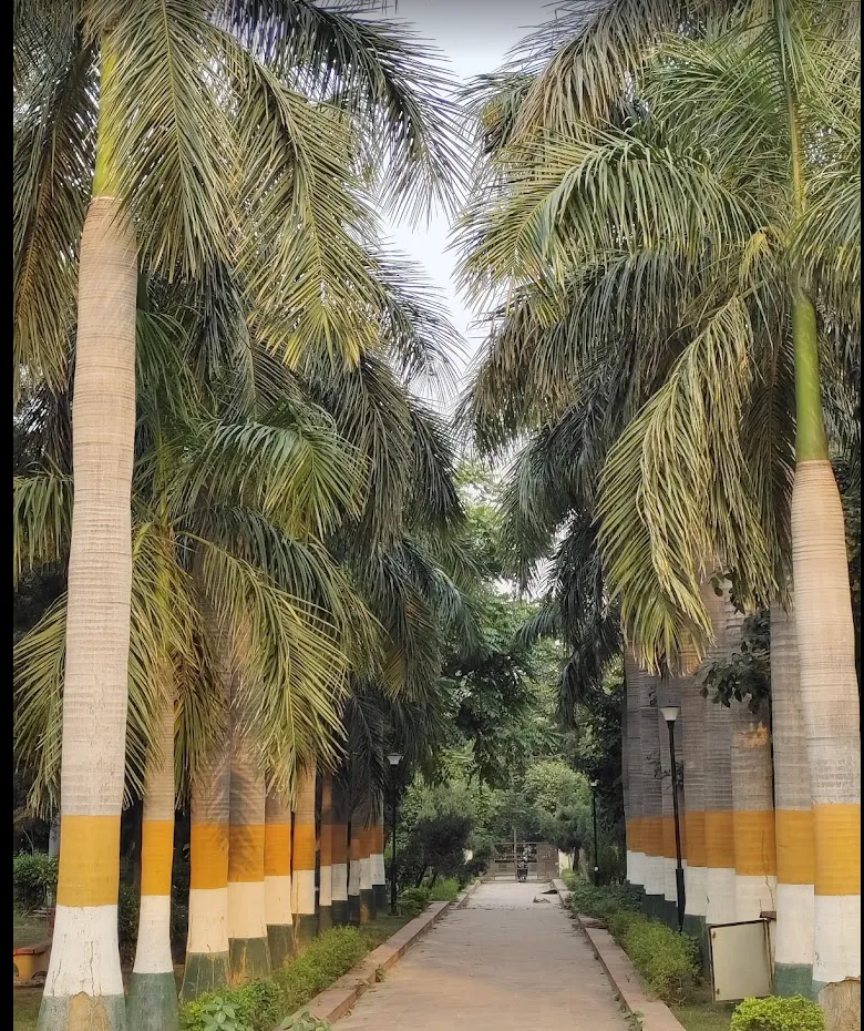 Palm-lined avenue with painted tree trunks leading to a paved walkway