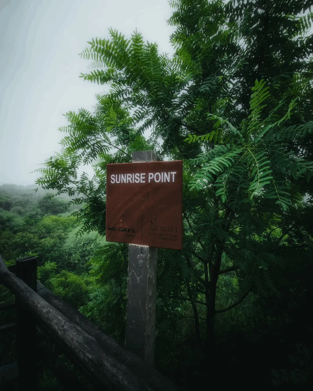 Sunrise Point signboard mounted on a post amid dense green trees