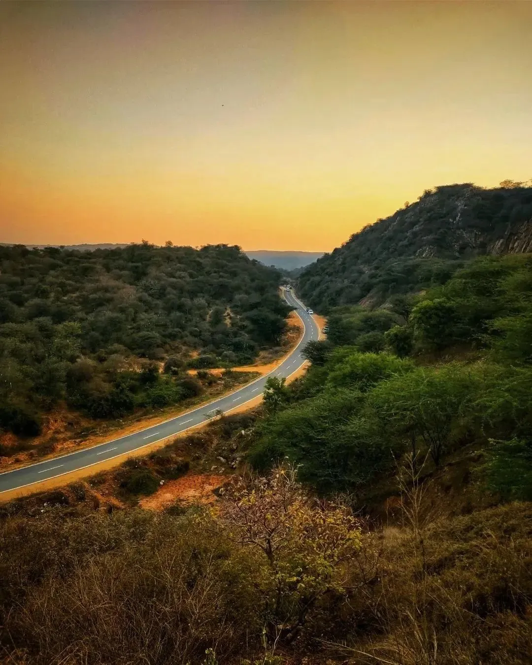 Winding road cutting through green Aravali hills at sunset