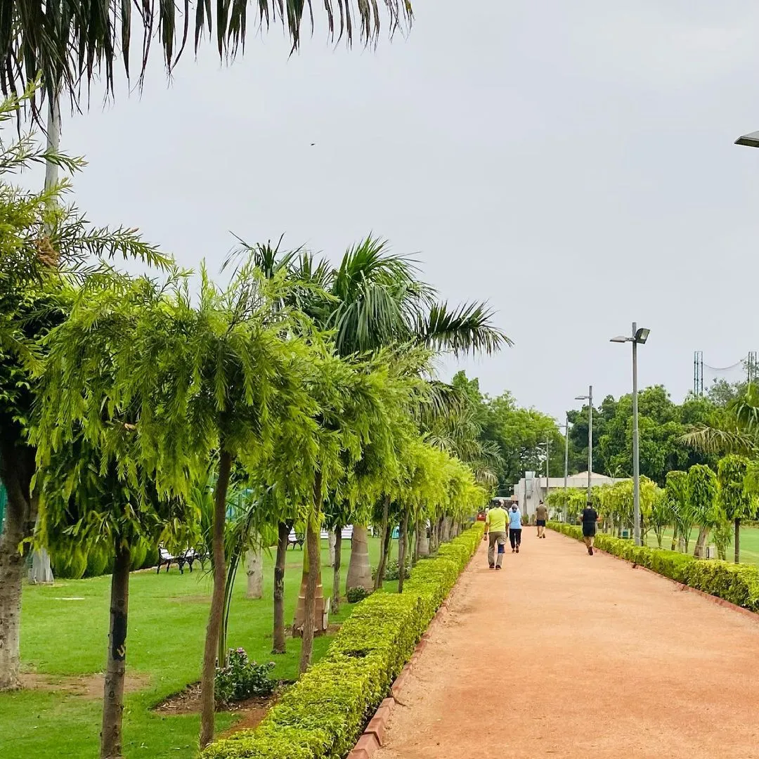 People walking along a hedge-lined path shaded by palm trees