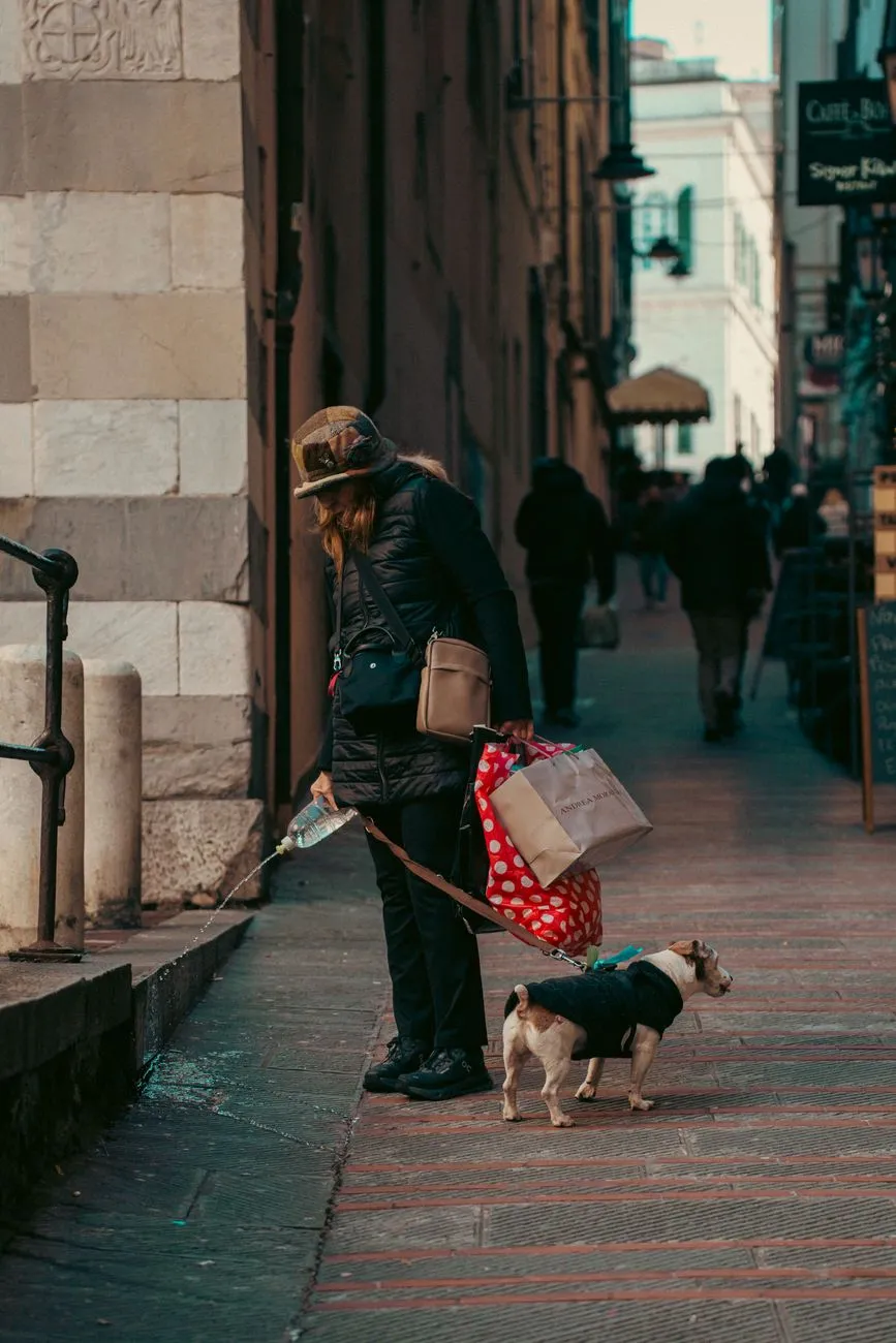 Person walking a dog while carrying bags on a city street