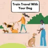Ultimate Guide on Train Travel With Your Dog