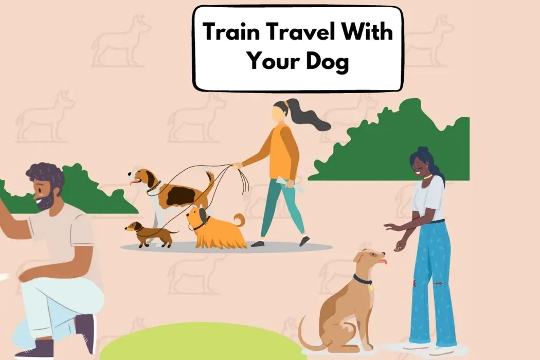 Ultimate Guide on Train Travel With Your Dog