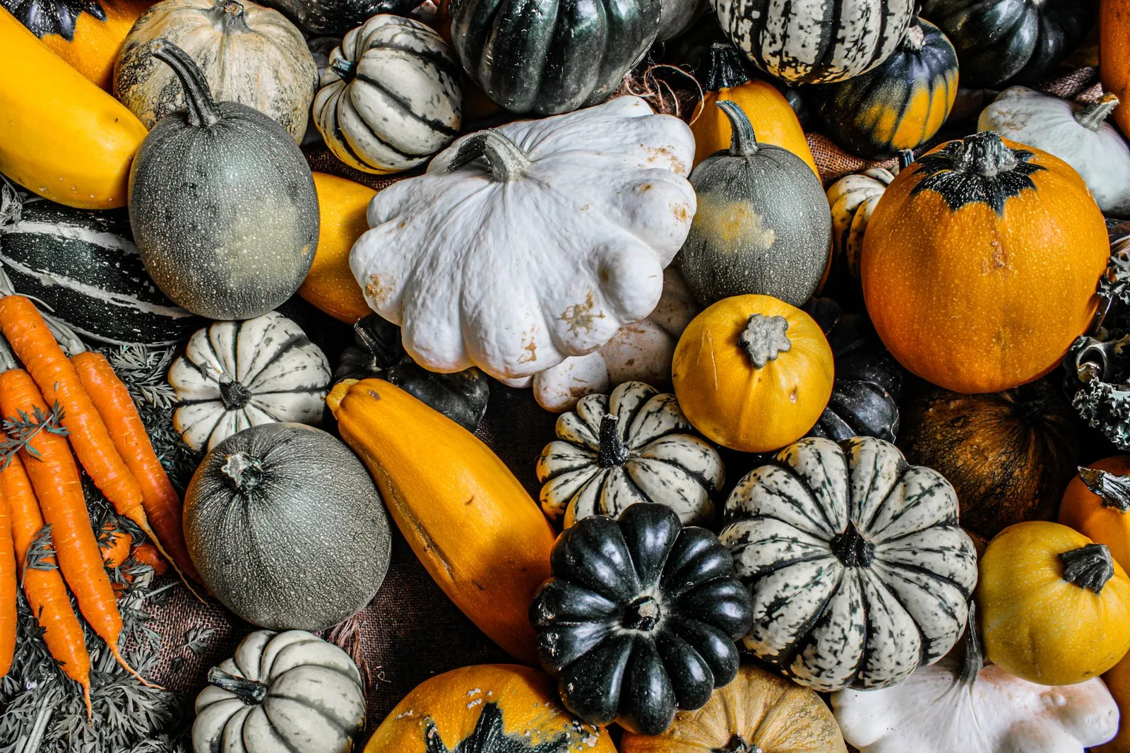 Fresh carrots and pumpkin pieces arranged as dog-safe vegetables