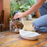 Veg Dog Food in India: What Dog Parents Should Know First