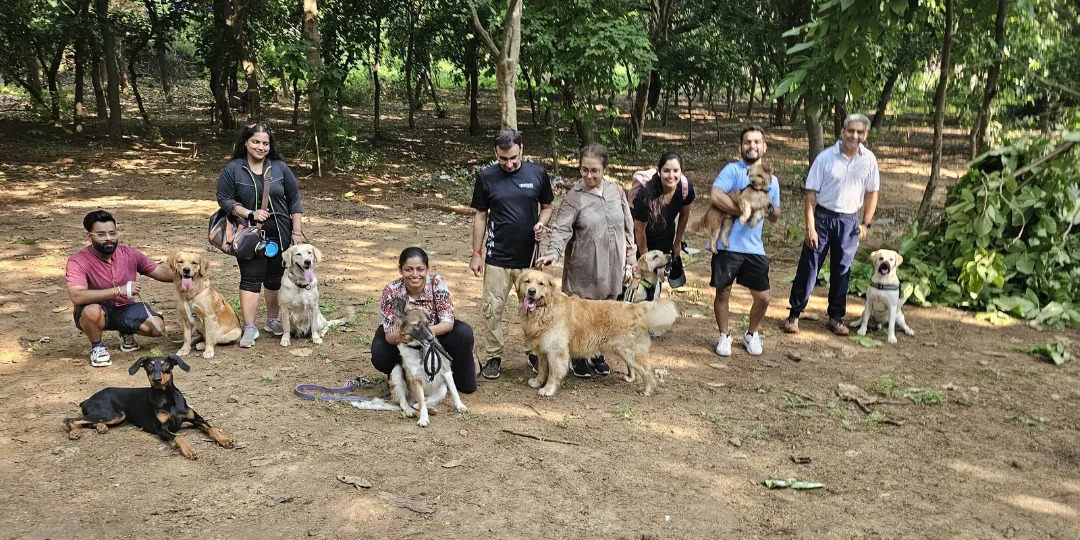 Group of dog parents with golden retrievers and other dogs gathered under trees
