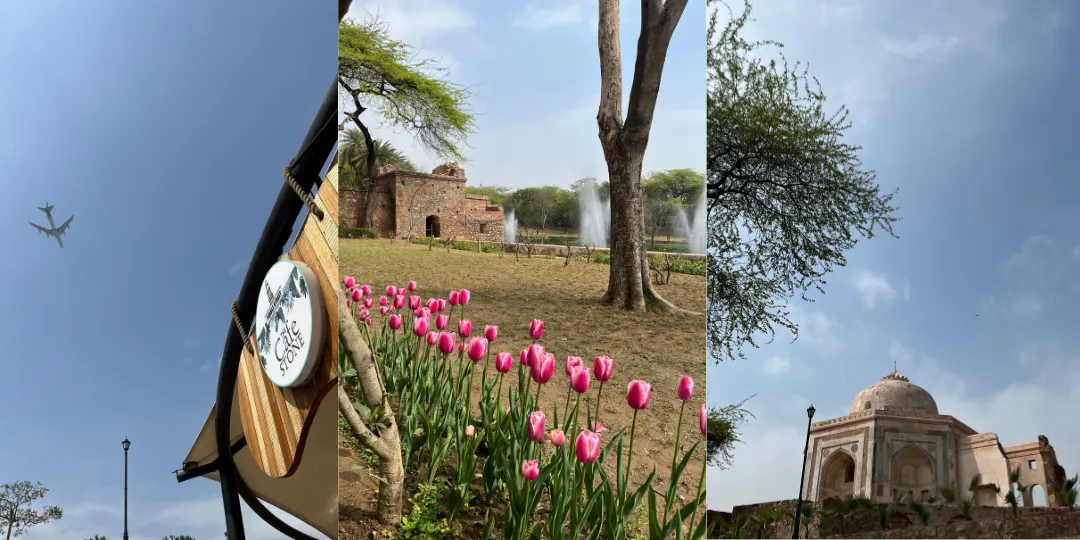 Triptych of Cafe Stone signage, tulips by a fountain, and a heritage monument at the park