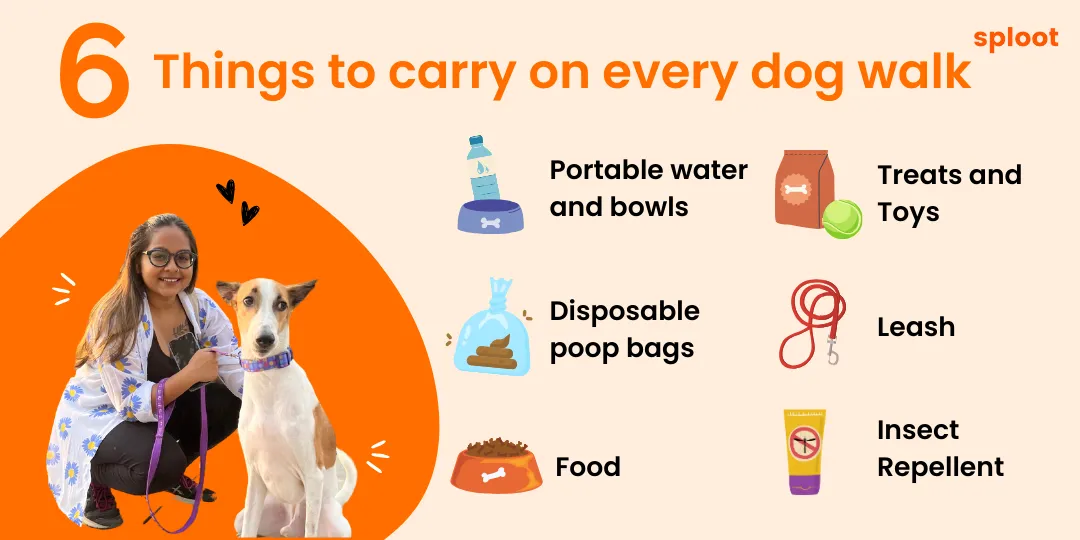 Checklist graphic of six essentials to carry on every dog walk with a pet parent and dog