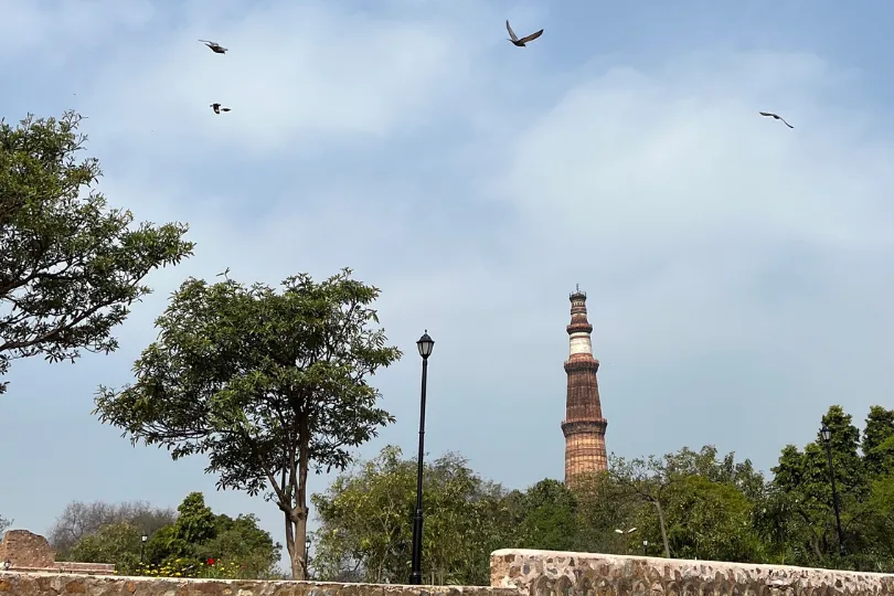 Wagging Through History: A guide to taking Your Dog to Mehrauli Archaeological Park, Delhi