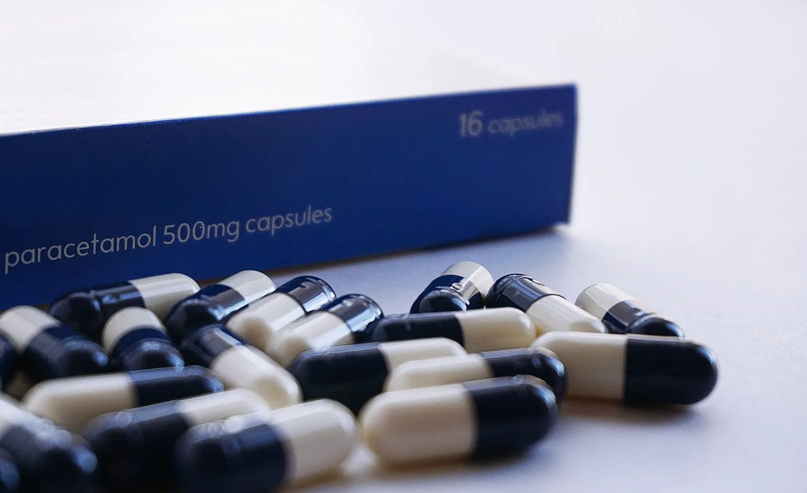 Human paracetamol tablets that should stay out of a dog dose plan