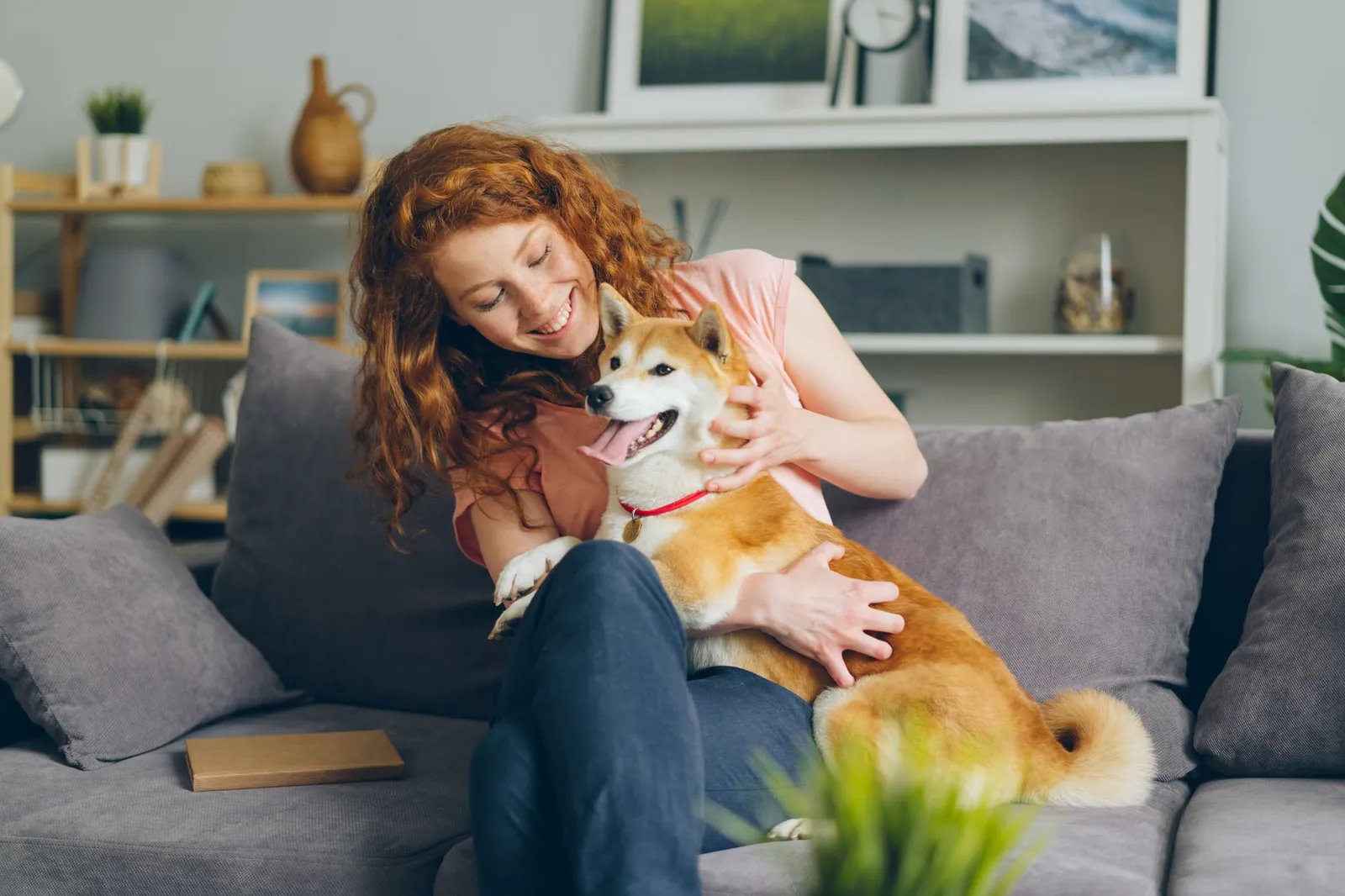 Person hugging a calm dog on a sofa at home