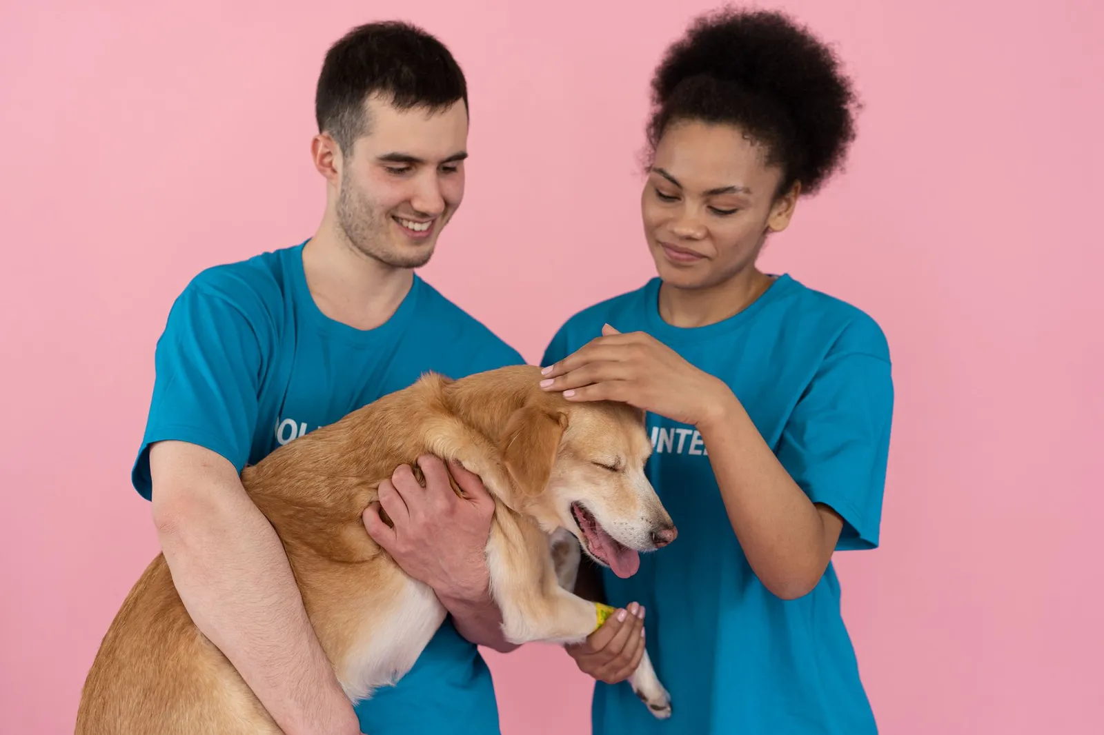 Volunteer petting a brown dog at an animal shelter
