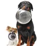 Why Does My Dog Pee near his Food Bowl?