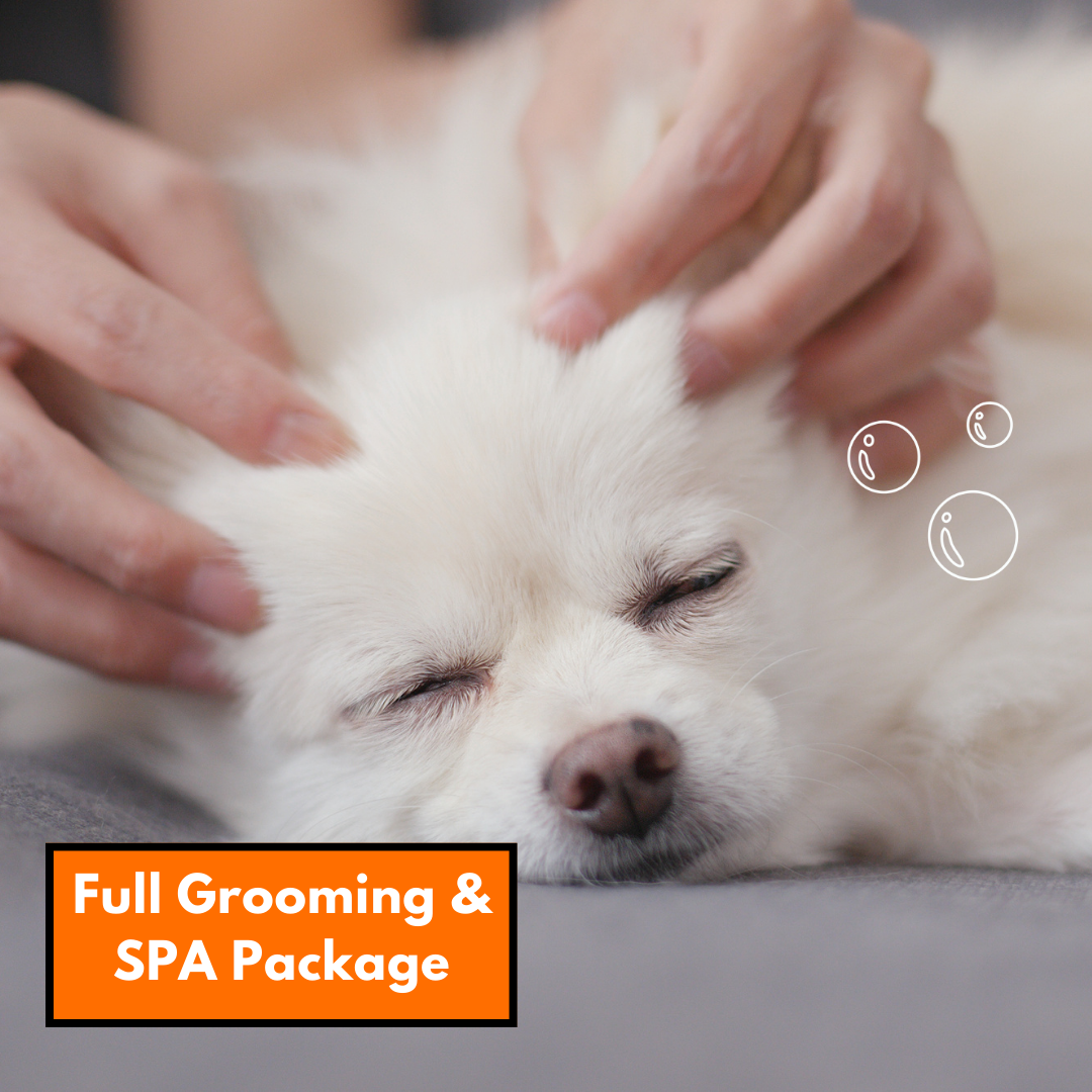 Full Grooming & Spa Package