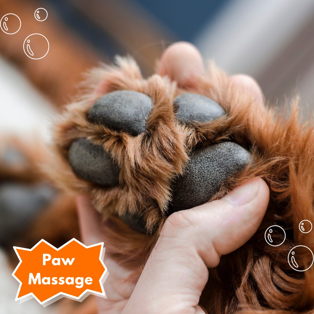 Paw Massage