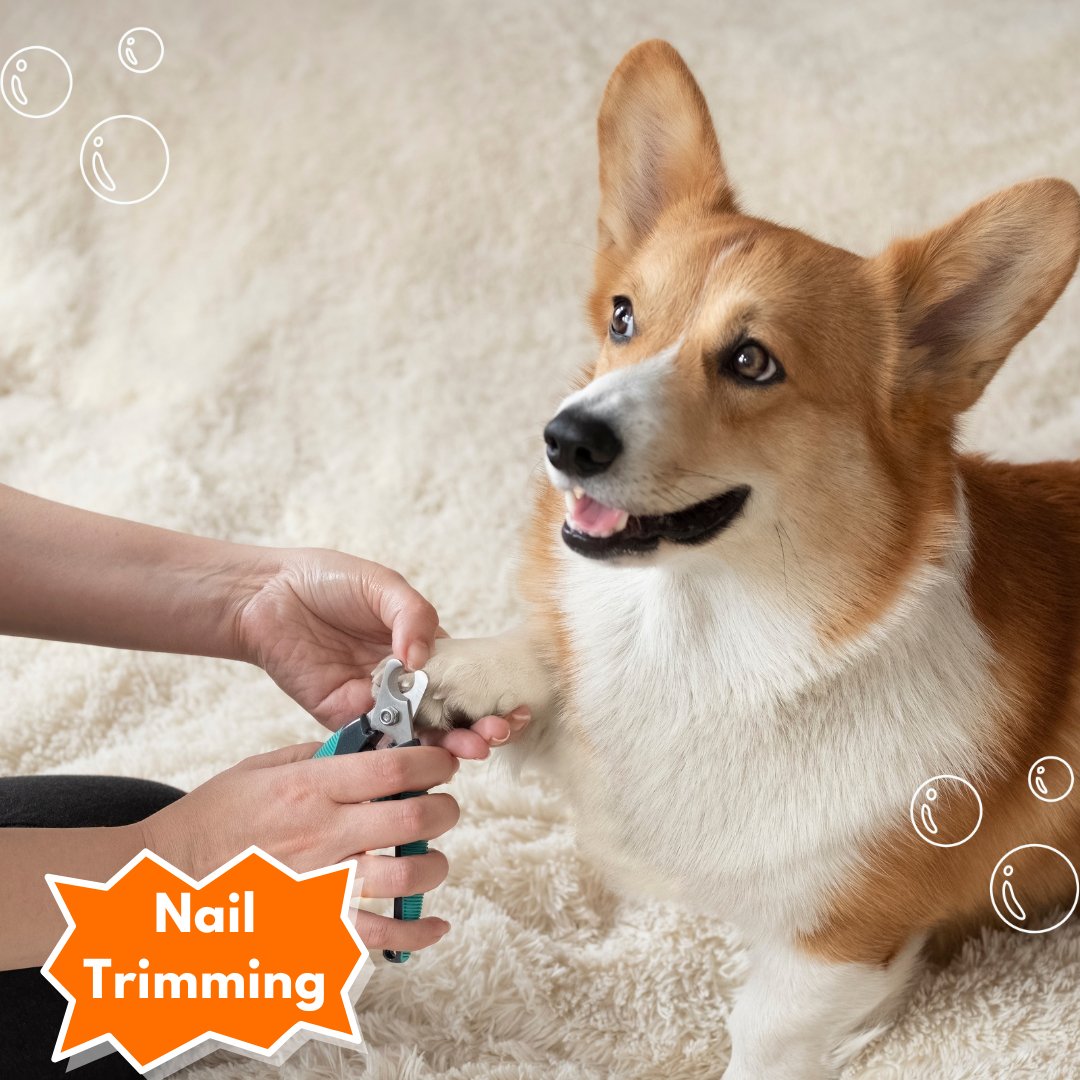 Nail Cutting