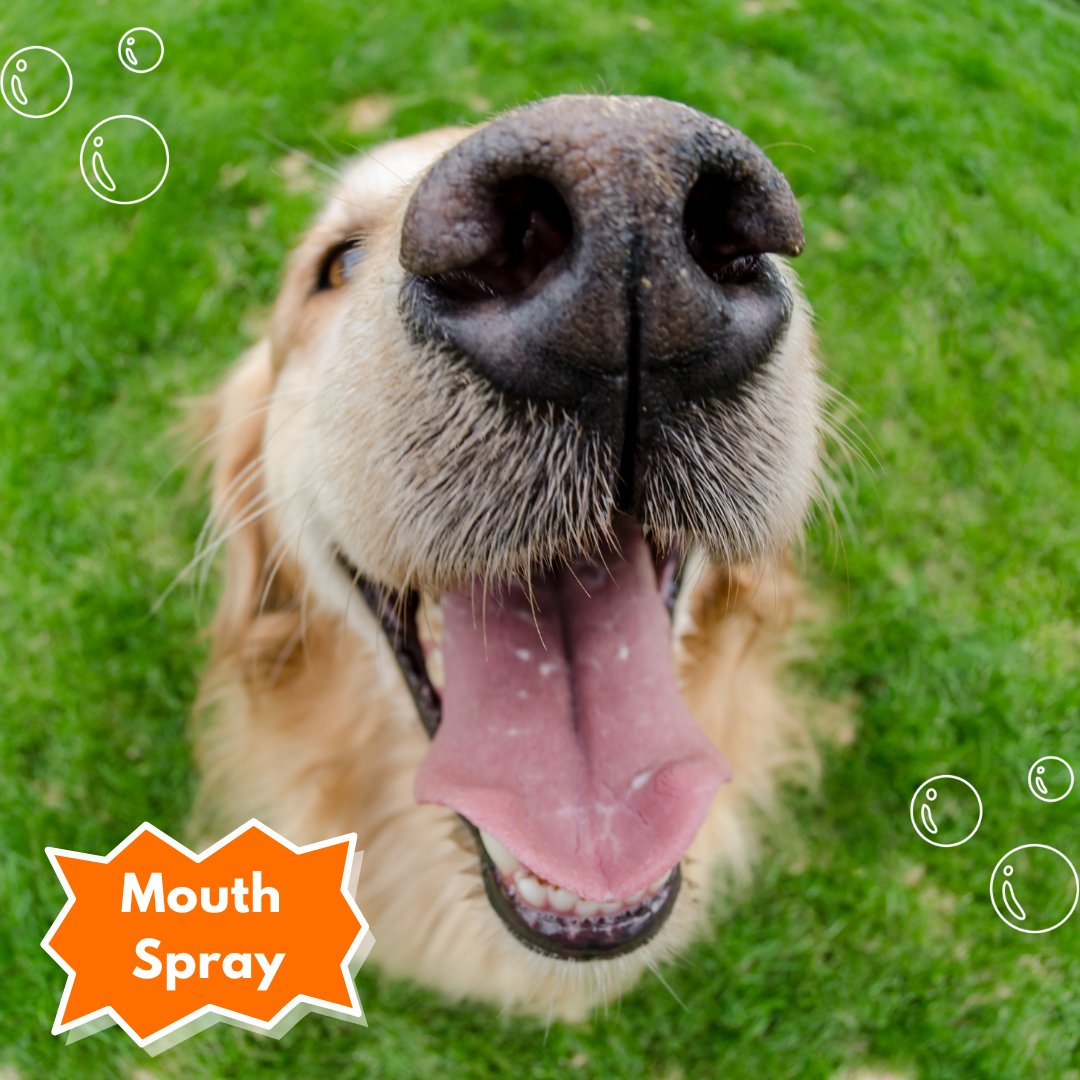 Mouth Spray