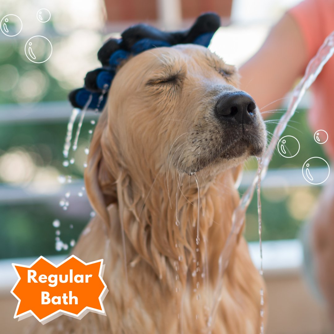 Bath & Blow Dry