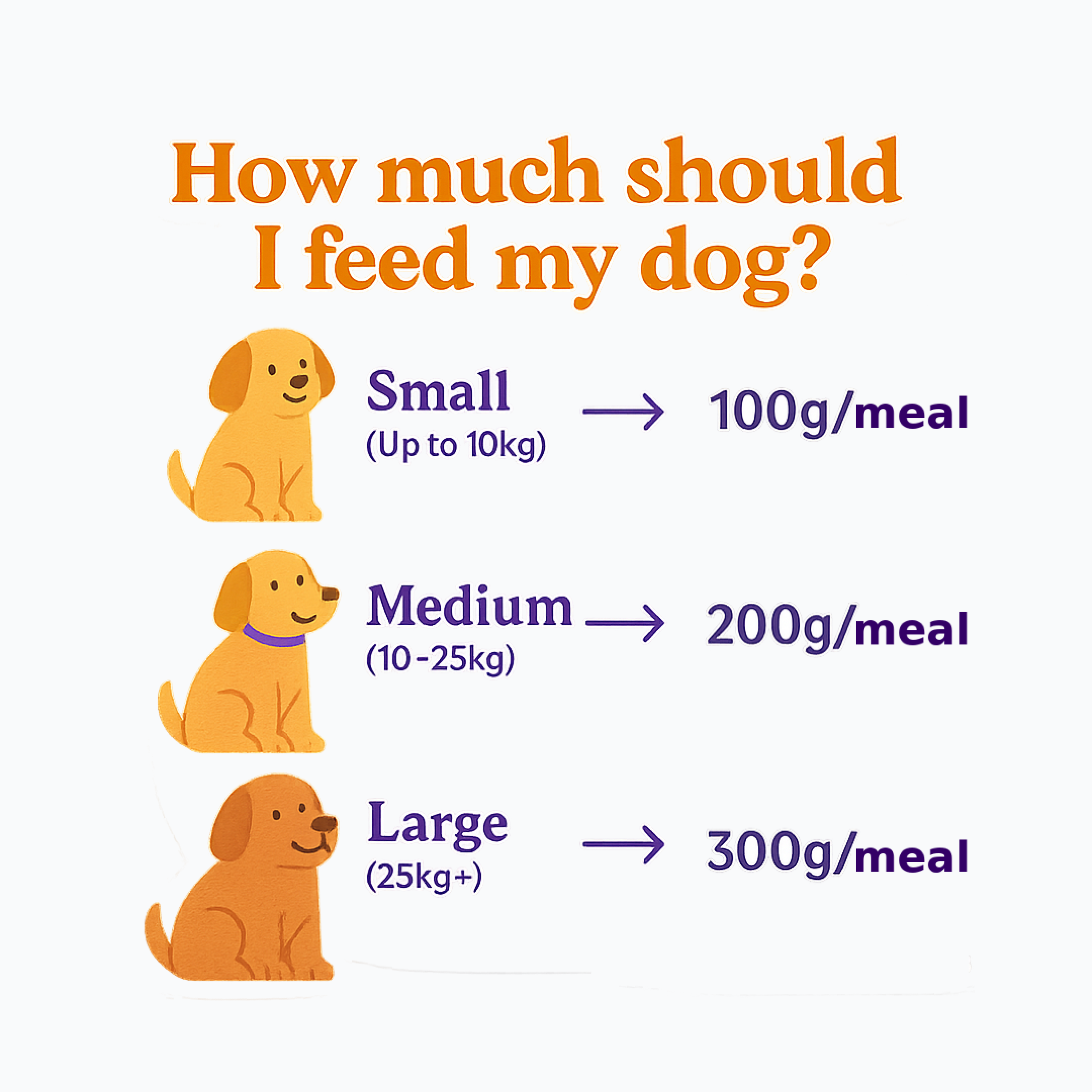 Sploot Chonky Chimken Dog Food – image 8