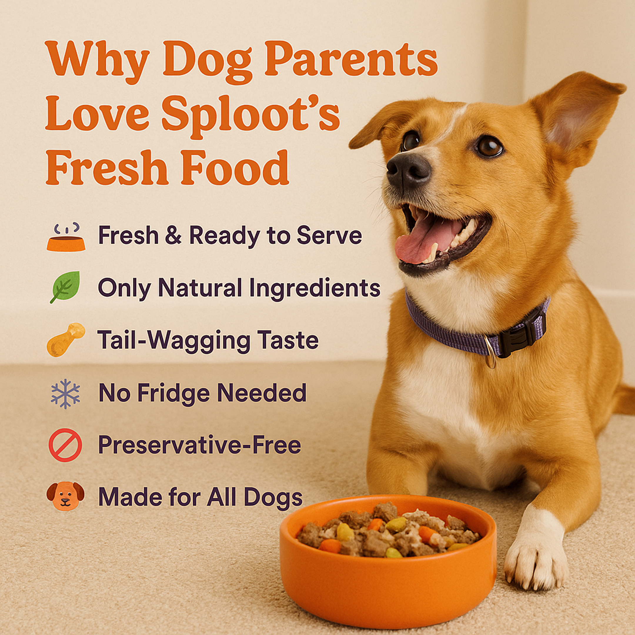 Sploot Meaty Trio | Taster Pack | Dog Food – image 3