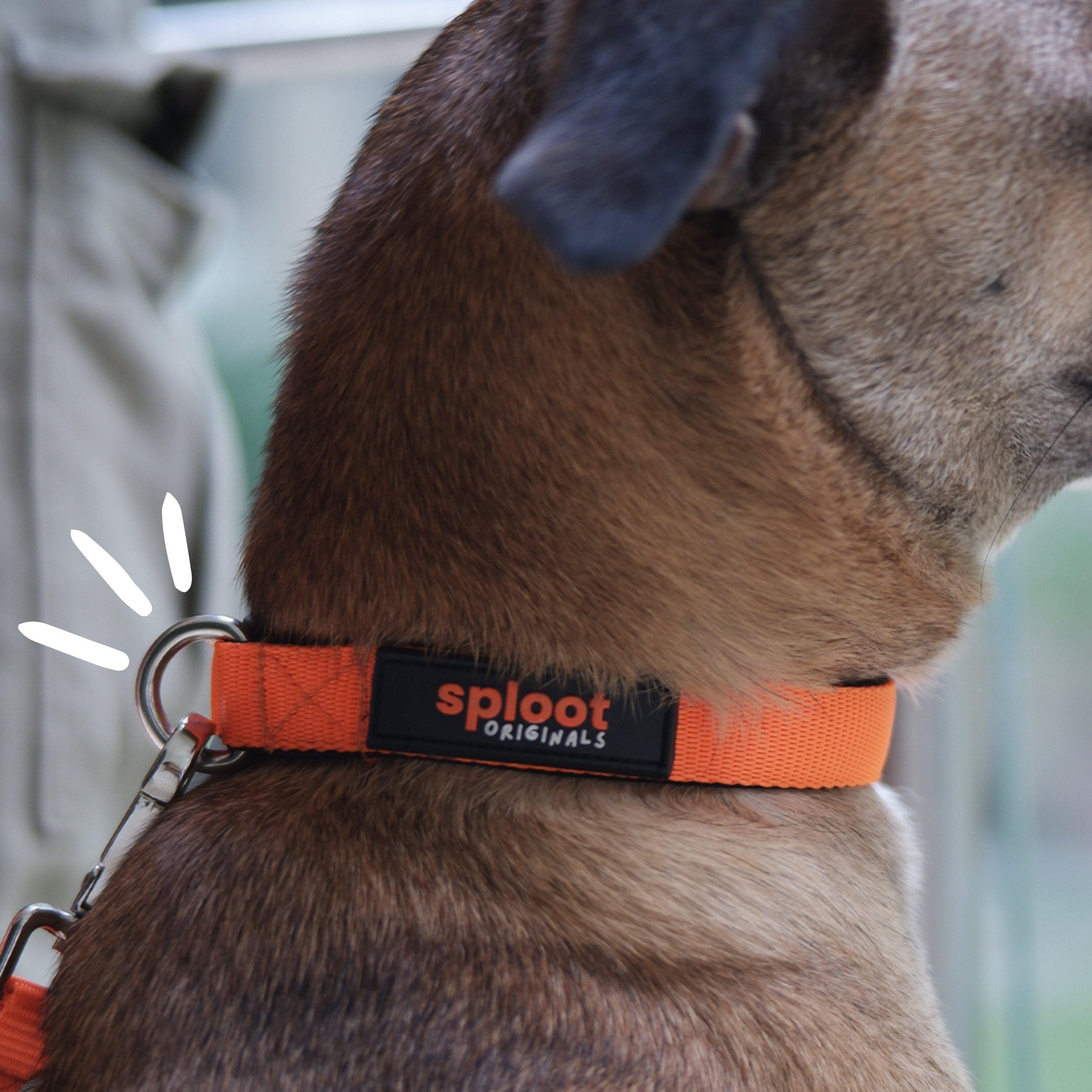 Sploot Orange & Black Dog Leash – image 2