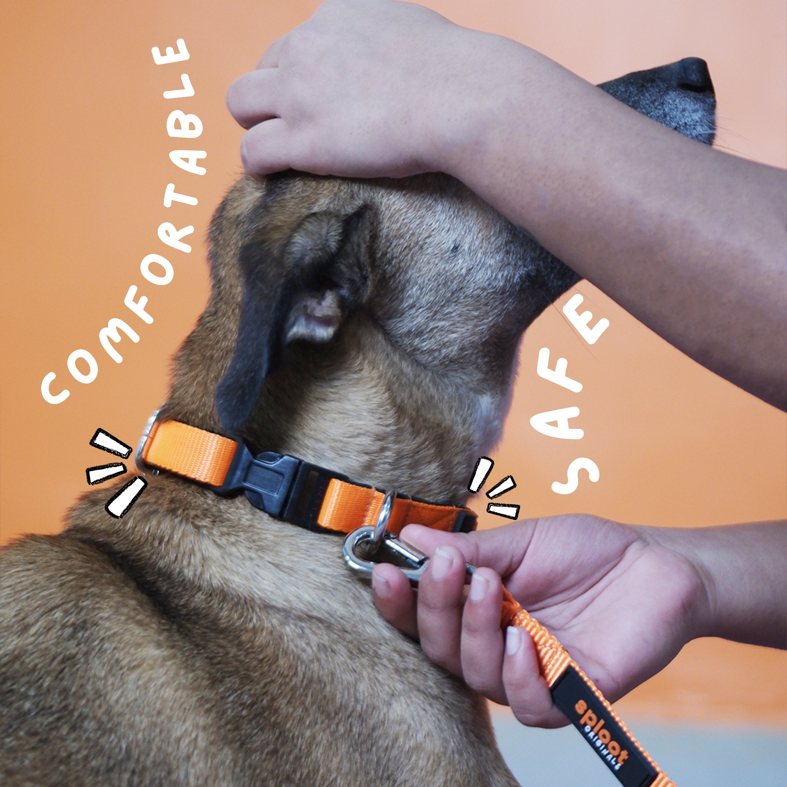 Sploot Orange & Black Dog Leash – image 3
