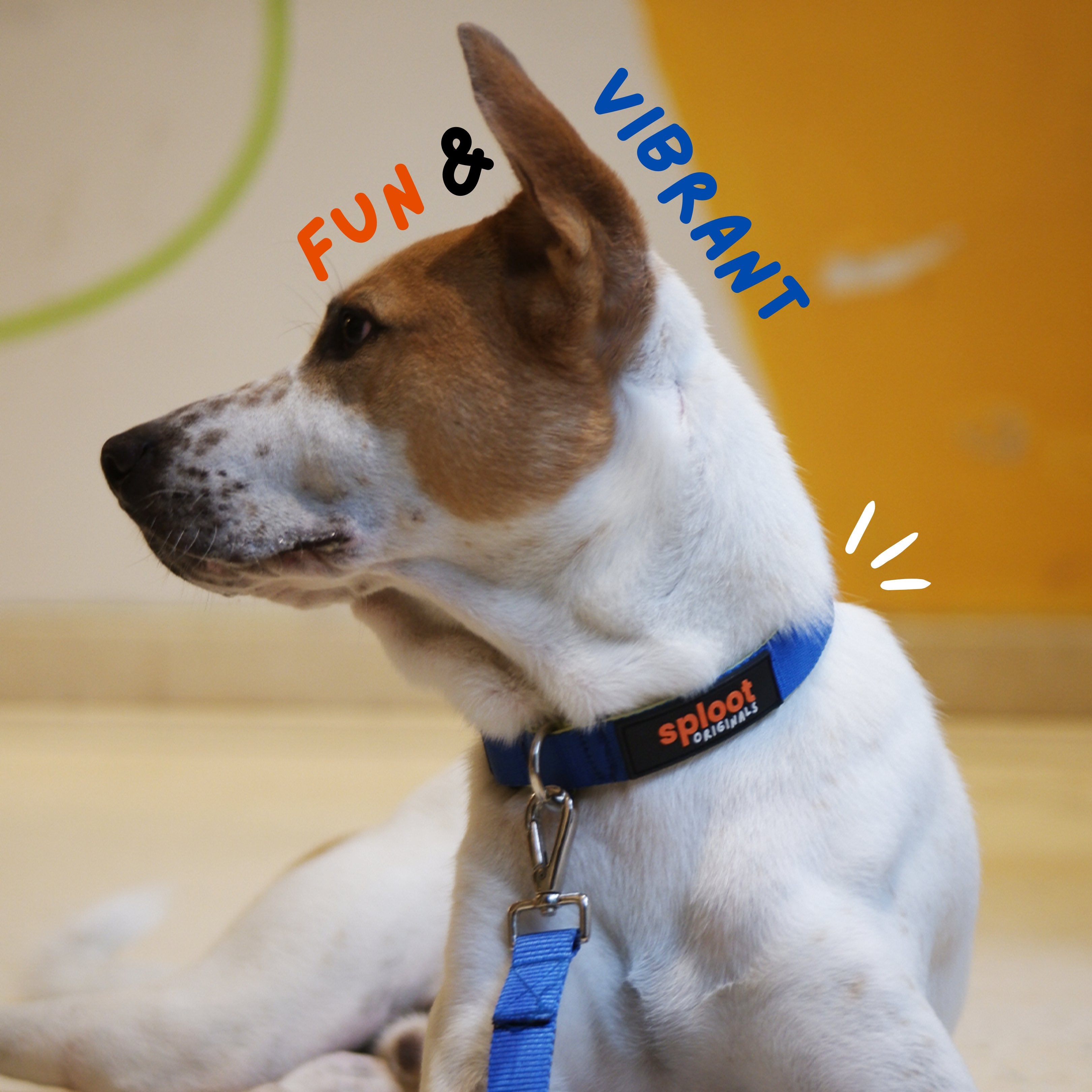 Sploot Blue & Green Dog Collar – image 2
