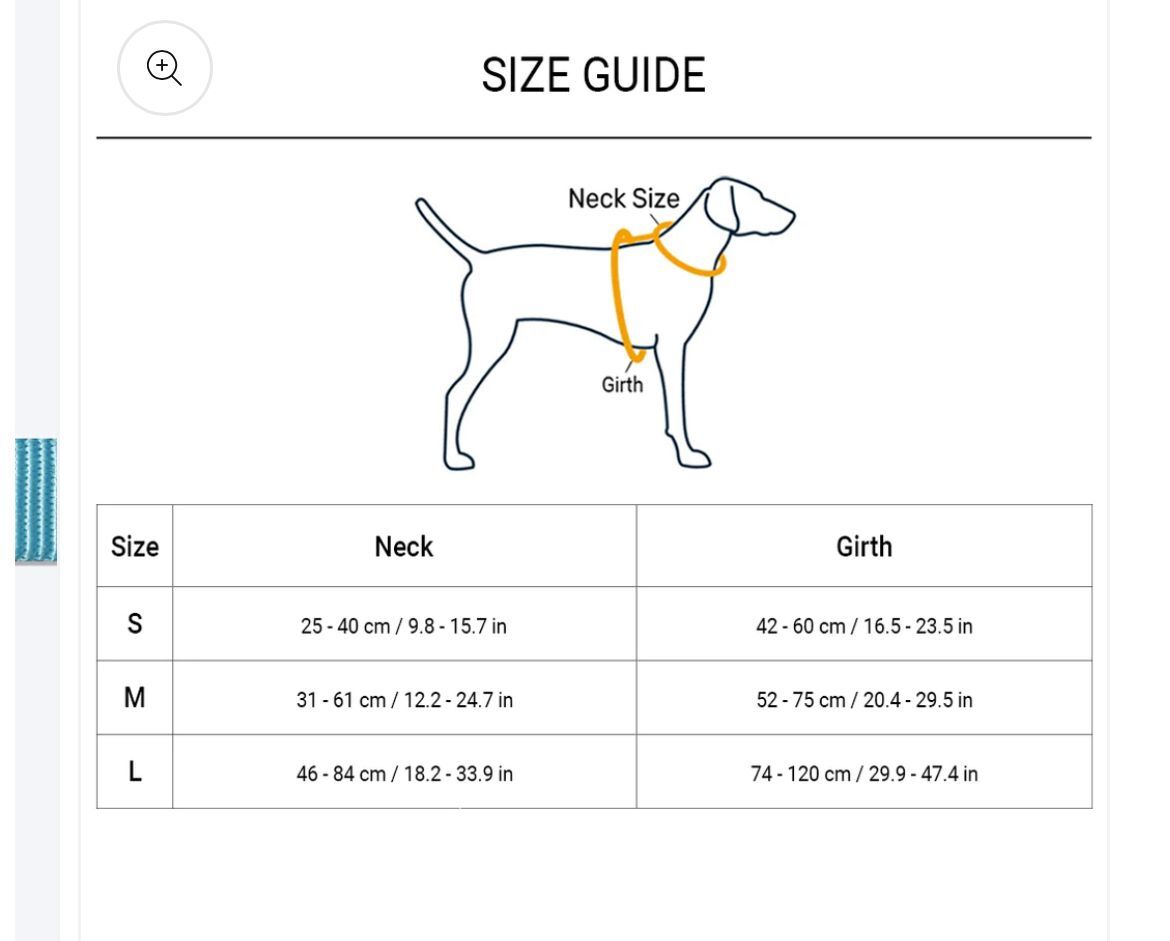 Sploot Leash & Collar - Blue & Green – image 7