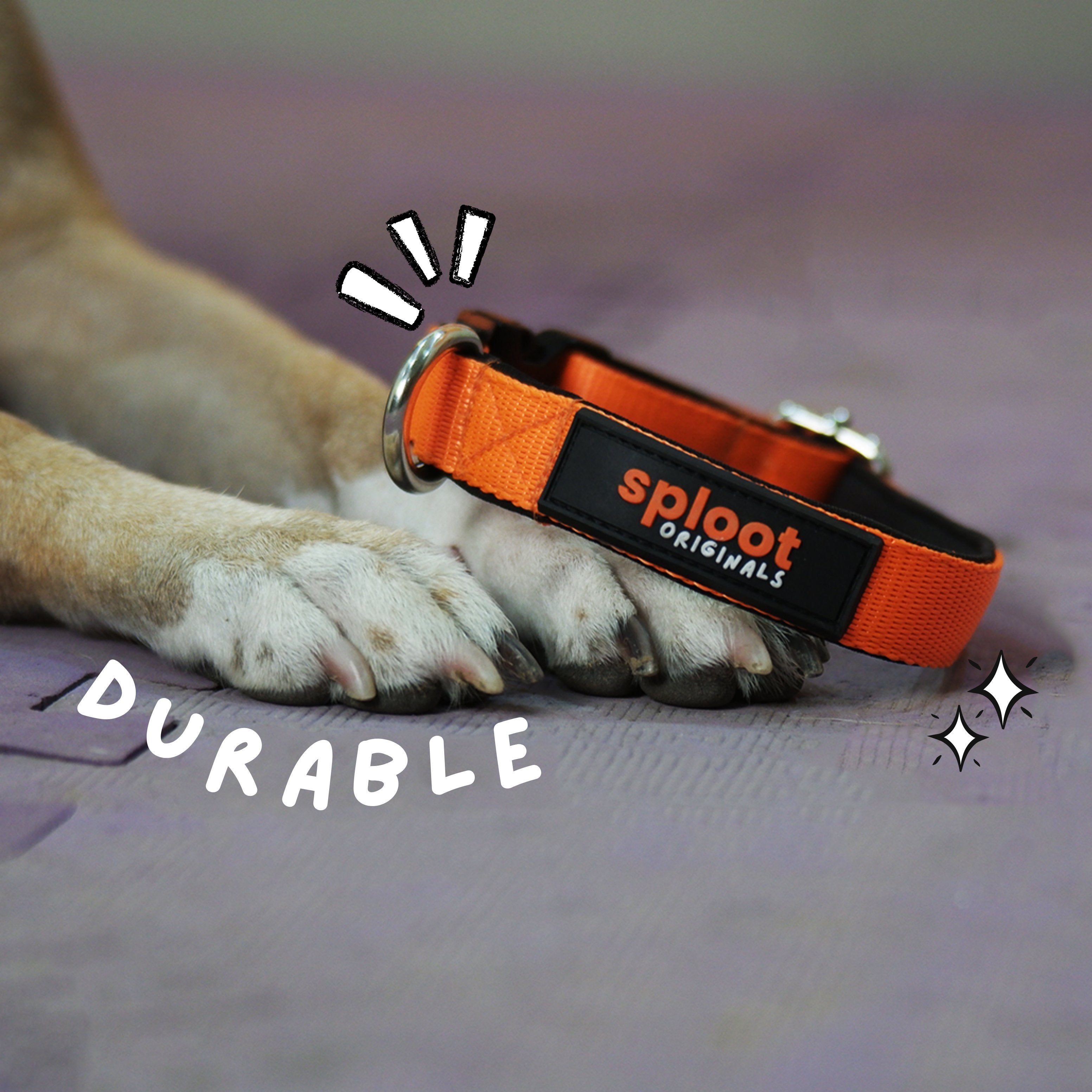 Sploot Leash & Collar - Orange & Black – image 5