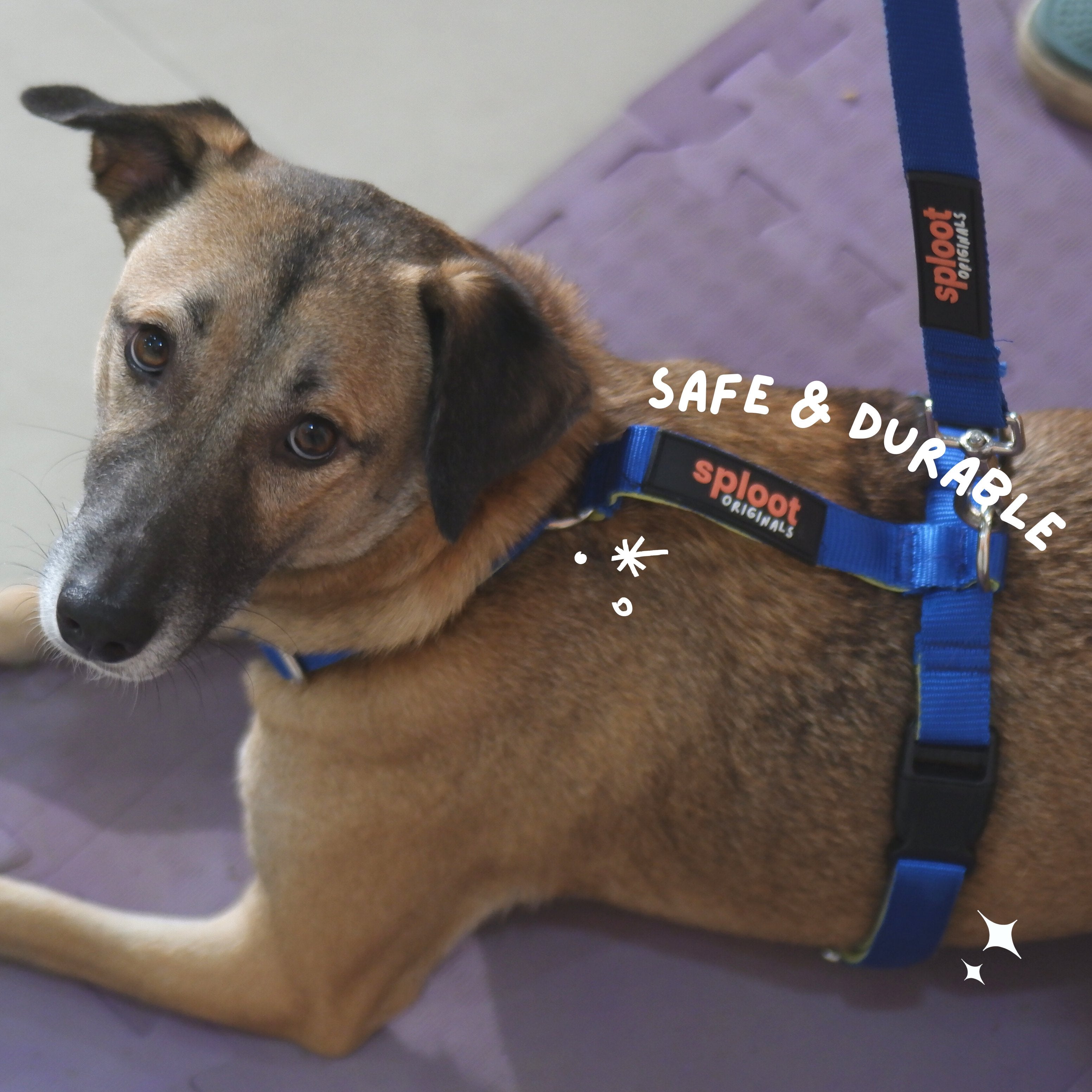 Sploot H Harness For Dog – image 4
