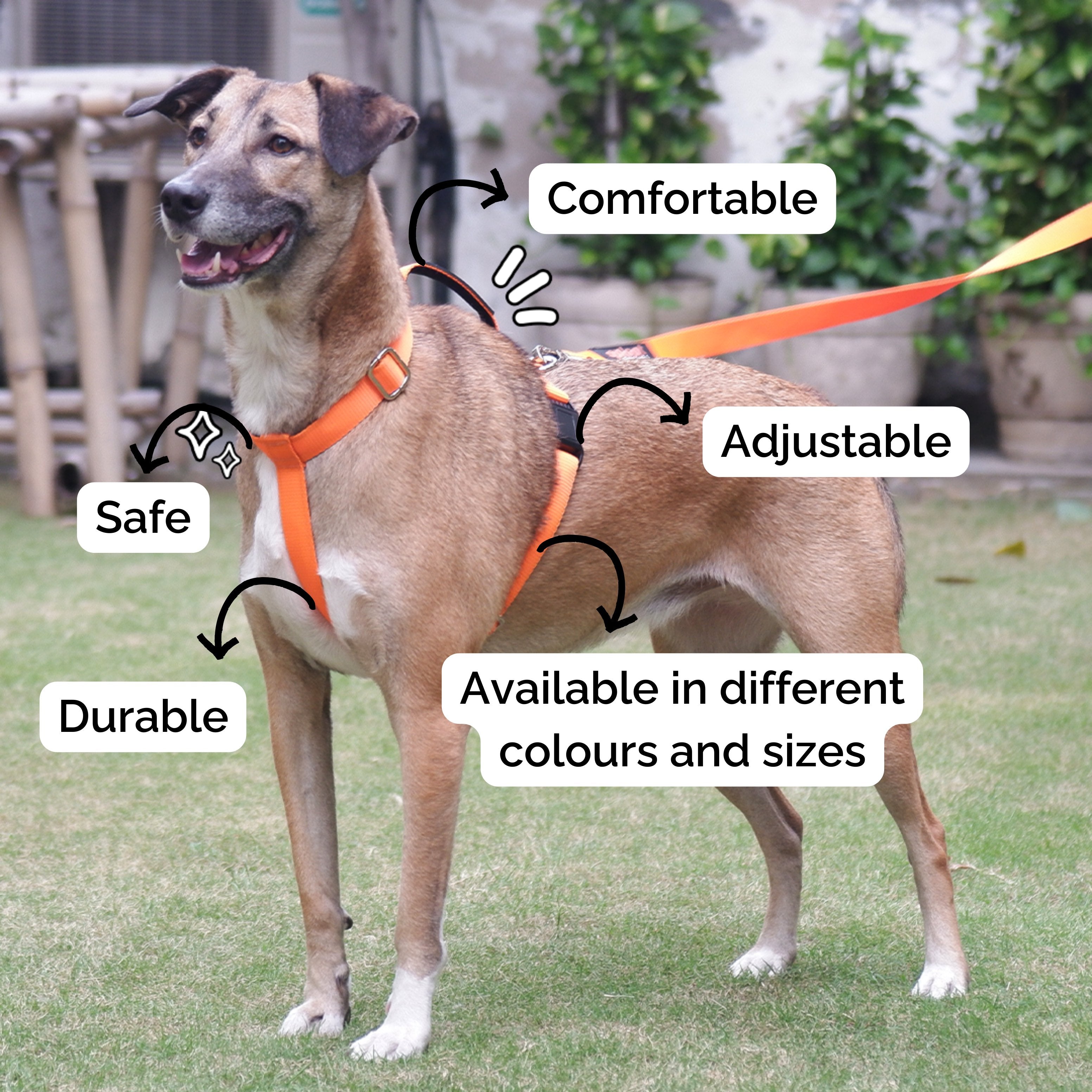 Sploot H Harness For Dog – image 2