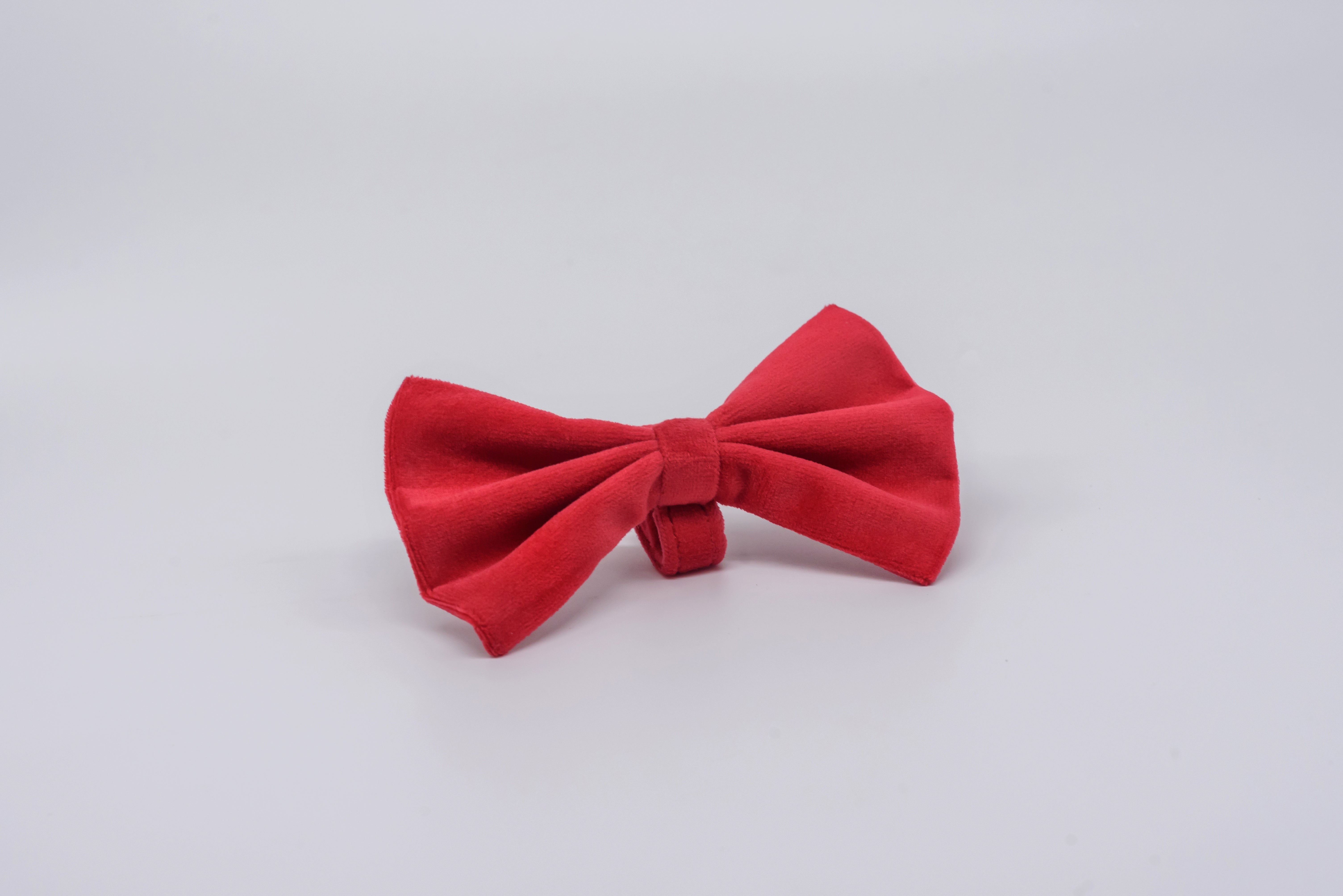 Detachable Suede Bow Tie for Collars by pAww! – image 2